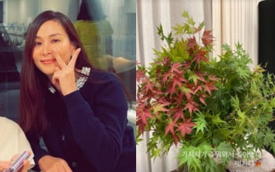 '장동건♥' 고소영, 163억 집 살면서 "가지치기 주워" 오는 검소함 [TEN★]