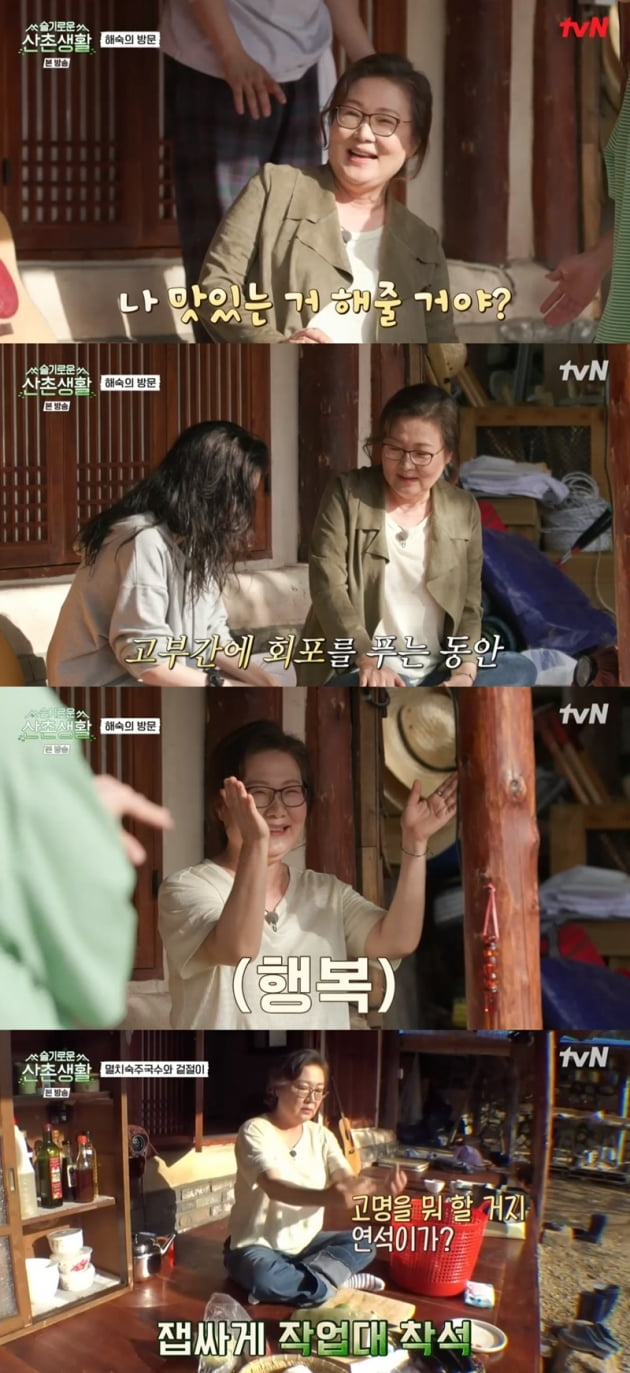 '슬기로운 산촌생활' / 사진 = tvN 영상 캡처