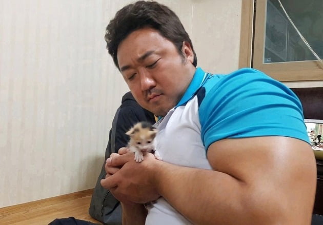 사진=마동석 인스타그램