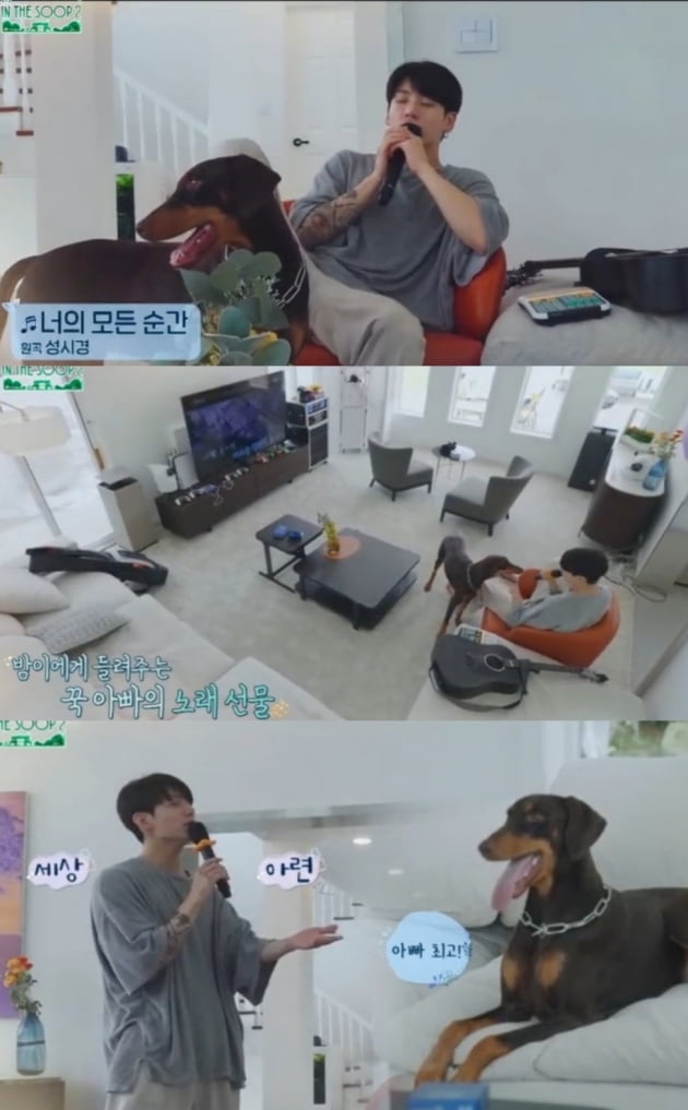 방탄소년단 정국 반려견만을 위한 노래 선물 '최고의 강아지 아빠'