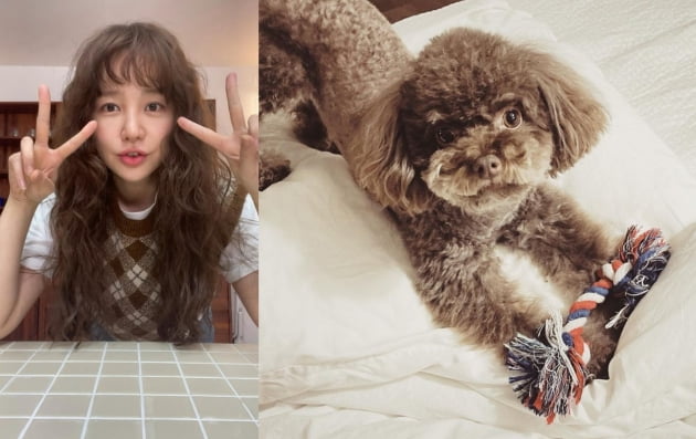윤은혜, 뽀글이 머리로 귀여움 UP...반려견과 같은 스타일 어때요?[TEN★]