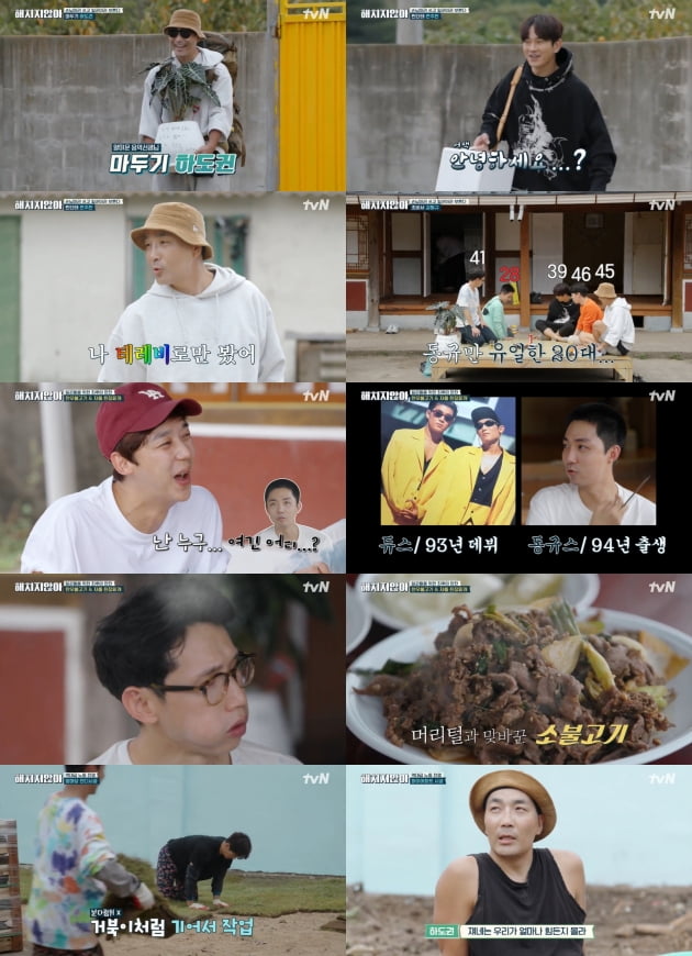 '해치지 않아'./ 사진=tvN 방송화면
