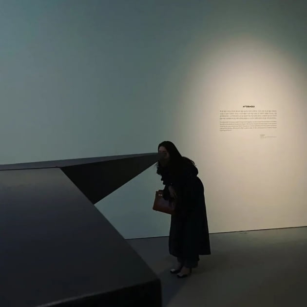 '치과의사♥' 전혜빈, 인천 5성급 초호화 호텔에서 "아트투어"…고상한 옆태 [TEN★]