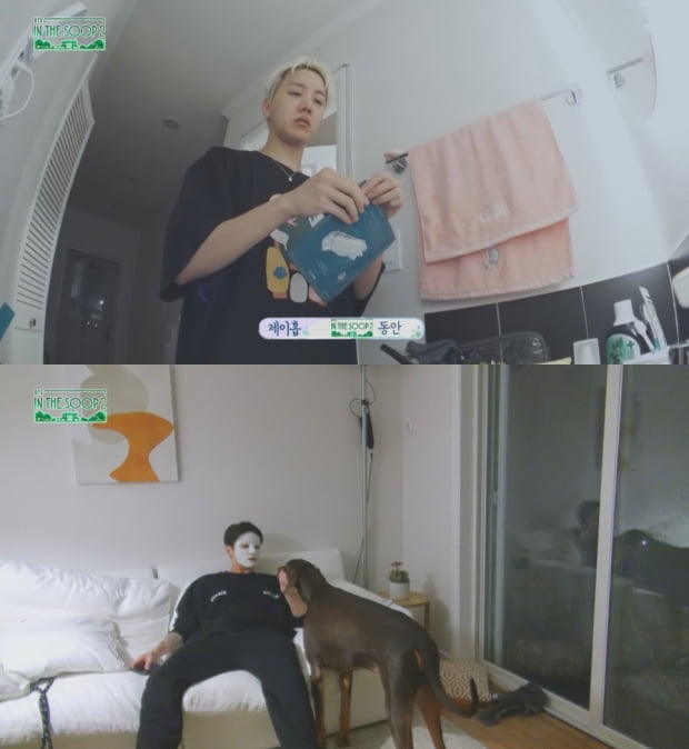 '인더숲 BTS편 시즌2'에 등장한 머드 마스크팩 화제