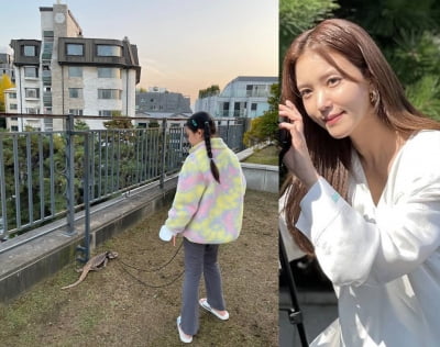 '백도빈♥' 정시아 "가을 타는지"…도마뱀 향한 지극정성 [TEN★]