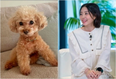 '임성빈♥' 신다은, "네가 울면 나도 슬퍼"…반려견 봄이 향한 절절한 애정 [TEN★]