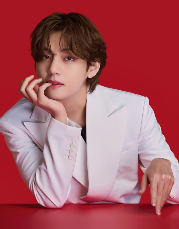 방탄소년단 뷔, 청와대서도 인정했다…"옷깃만 스쳐도 품절"