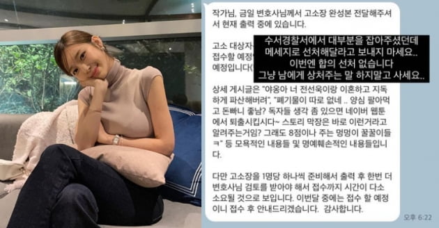야옹이 작가(왼쪽)가 공개한 악플 고소 상황/ 사진=인스타그램 캡처