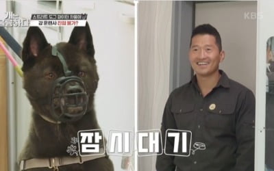 [종합] "포식자 돼야"…사람에게도 공격성 드러내던 반려견 향한 강형욱 솔루션('개훌륭')