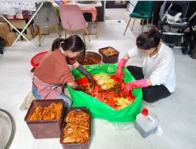 "초스피드 김장 고고" 배윤정, 어마어마한 배추 양 [TEN★]