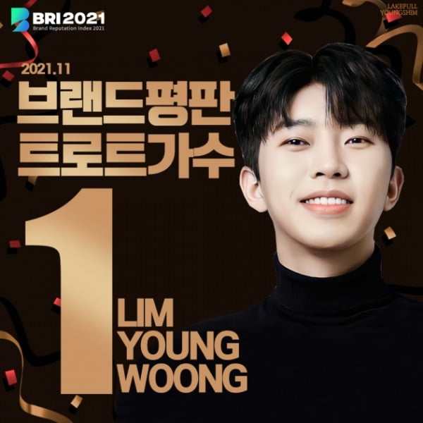 임영웅, 11월 트로트 가수 브랜드 평판 1위...압도적 파워