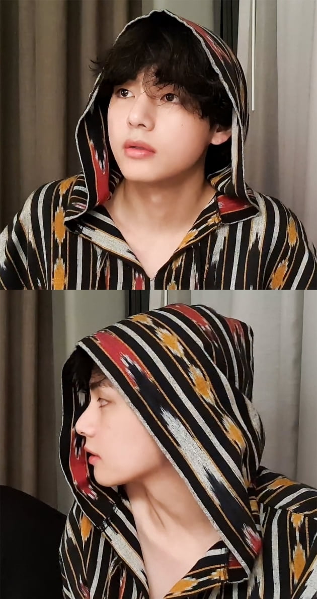 방탄소년단 뷔, 美 LA콘서트 "에너지, 비주얼, 보컬 완벽한 어나더레벨