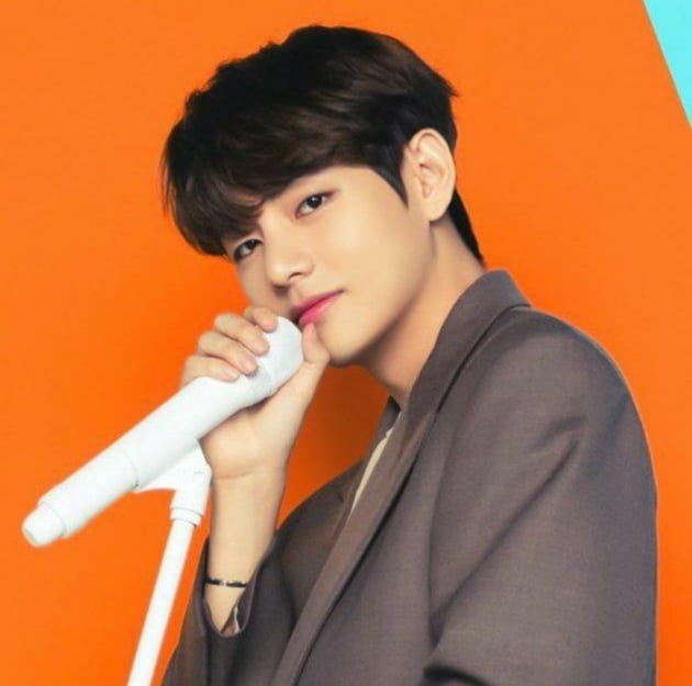 방탄소년단 뷔, 美 LA콘서트 "에너지, 비주얼, 보컬 완벽한 어나더레벨