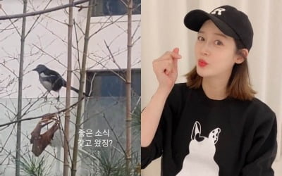 "좋은 소식"…성유리, 쌍둥이 임신 중인데 무슨 소식이기에 [TEN★]
