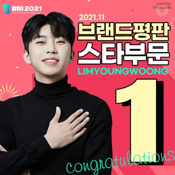 임영웅, 11월 브랜드 평판 스타 부문 1위 "강력한 팬덤 기반"