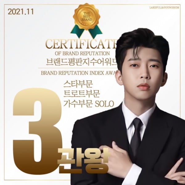 임영웅, 11월 브랜드 평판 3관왕...솔로·트로트·스타 부문 싹쓸이