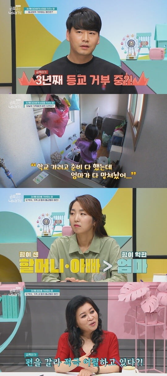 '금쪽같은 내새끼' (사진=채널A 제공)