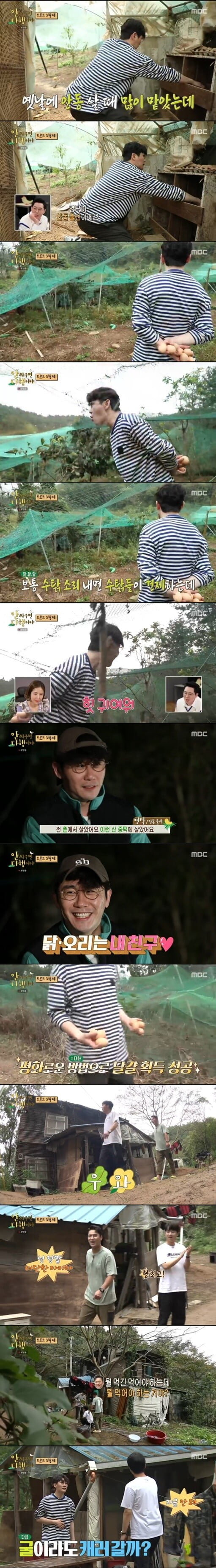 '안싸우면 다행이야'(사진=방송 화면 캡처)