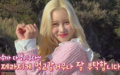 우주소녀 다영 "이모들이 다 해녀"…'맛녀석'에 뜬 제주 전문가