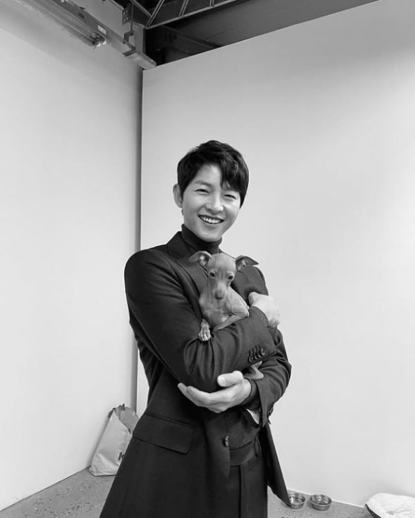 사진=송중기 공식 인스타그램