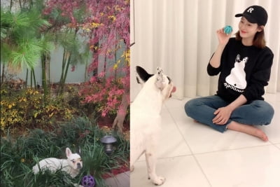 '쌍둥이 임신' 성유리, 반려견과 산책...어마어마한 마당크기[TEN★]