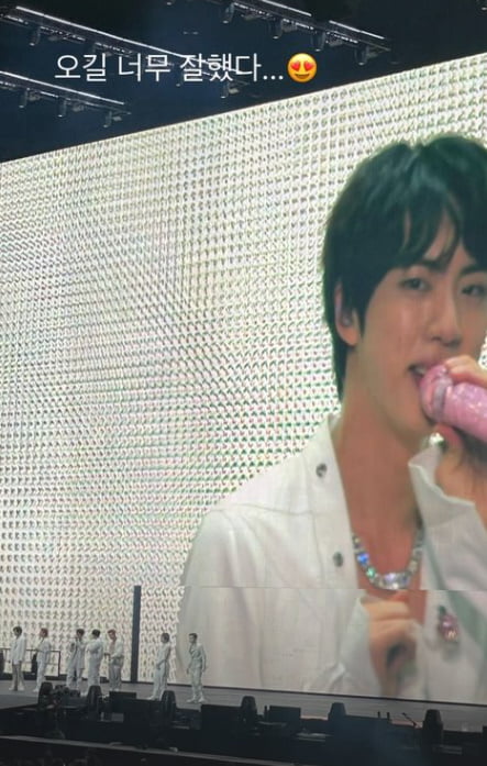 "오길 잘 했다"…혜박, 아미 였네? 방탄소년단 콘서트 직관 '감격' [TEN★]