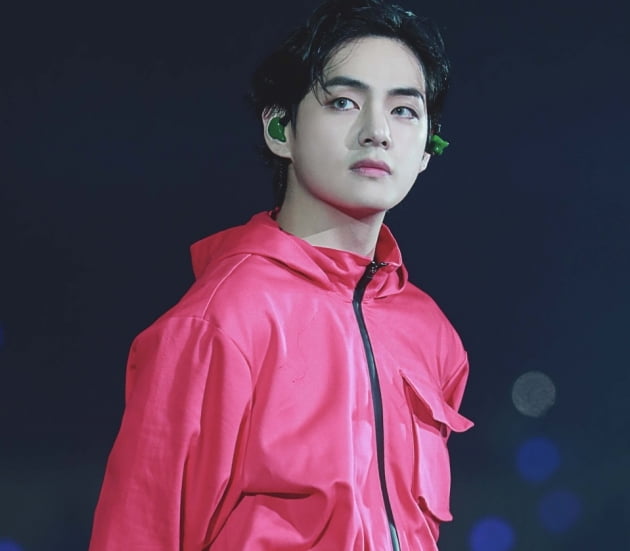 방탄소년단 뷔, 오징어 게임 진행요원변신. 美 피플지, 넷플릭스 감탄
