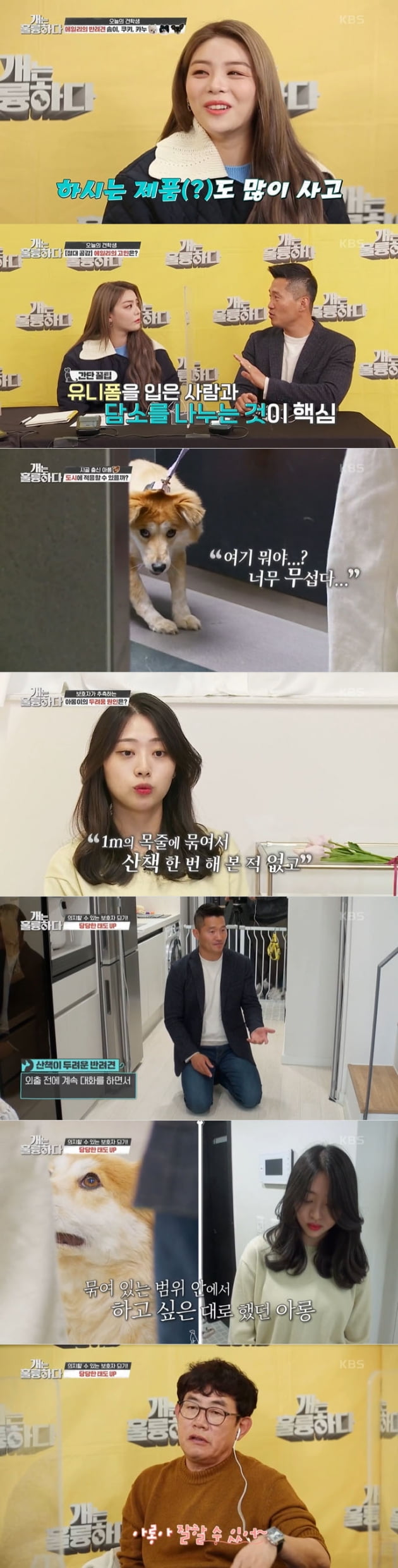 [종합] '개훌륭' 강형욱, 1m 줄 시골살이→외출 거부 도시견 "스스로 만든 두려움"