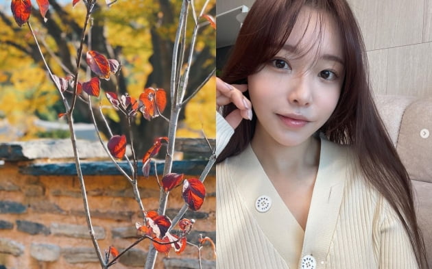 '박성광♥' 이솔이,겨울 추위 녹이는 감성...모두 굿밤[TEN★]