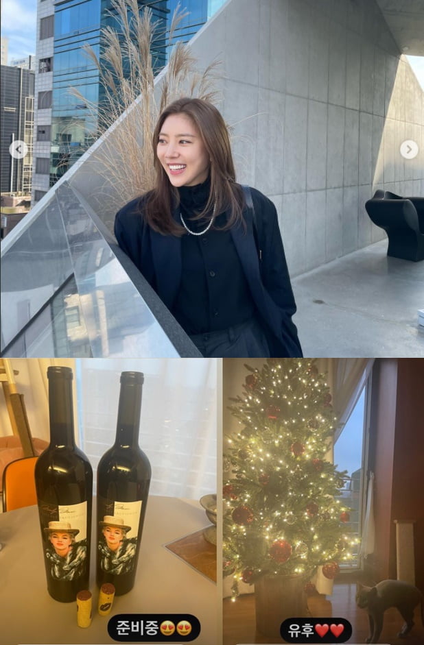 가수 손담비(위)가 공개한 와인과 트리/ 사진=인스타그램 캡처