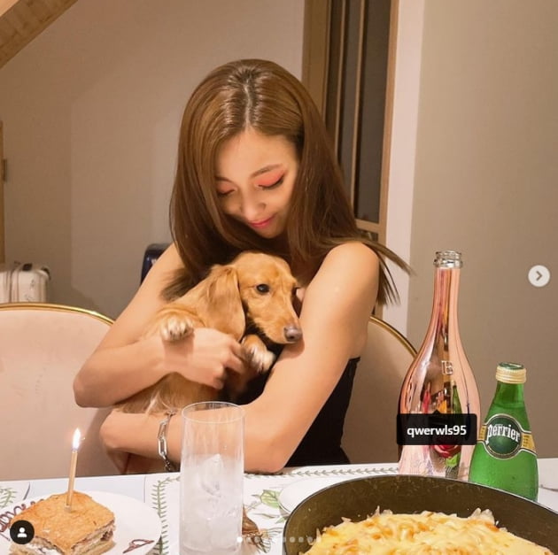 루나, 릴리 개 첫 생일 파티중?...사랑해[TEN★]