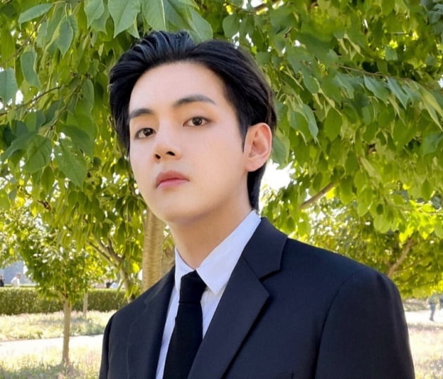 '팬 사랑꾼' 방탄소년단 뷔 팬들, 기부와 이벤트 릴레이로 27번째 생일 축하 "태형아 사랑해"