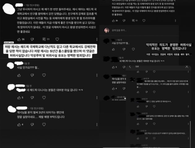 이동국 딸 재시 재아가 공개한 댓글/ 사진=인스타그램 캡처