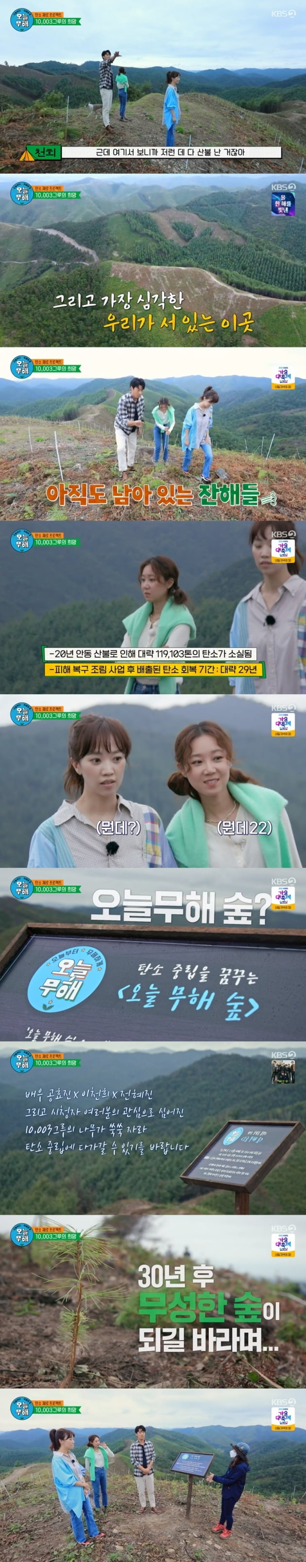 '오늘부터 무해하게' / 사진 = KBS 영상 캡처