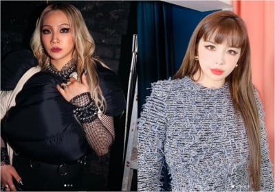"그게 맞아요" 박봄, '2NE1 해체 논란'에 공감?…게시물 '빛삭' [TEN★]
