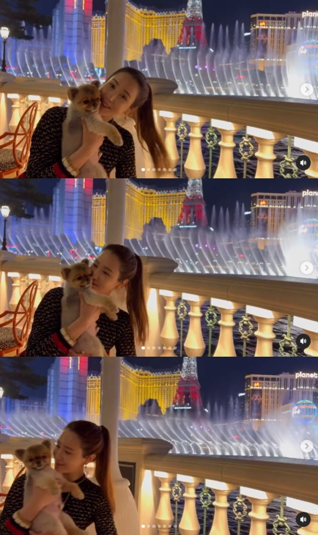 '세븐♥' 이다해, "모든 게 완벽했던 그날" 라스베이거스에서 화려한 여행 [TEN★]