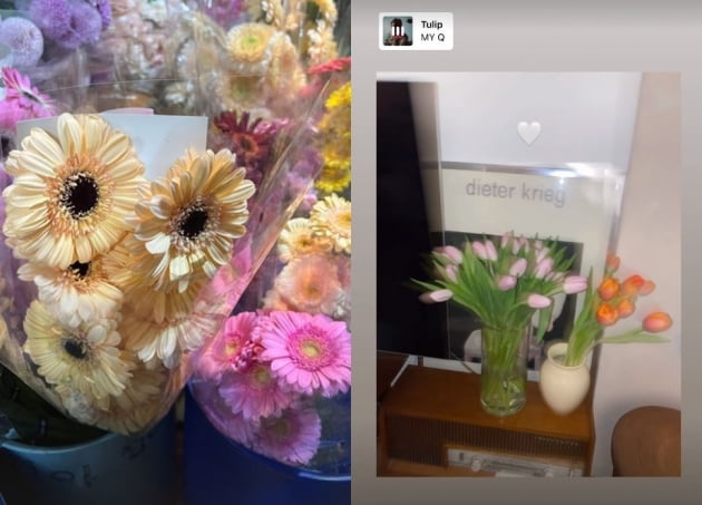사진=인스타그램 캡처