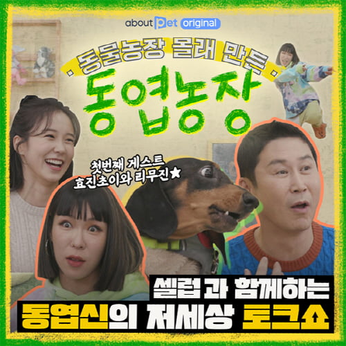 어바웃펫, 신동엽의 반려동물 토크쇼 ‘동엽농장’ 독점 공개