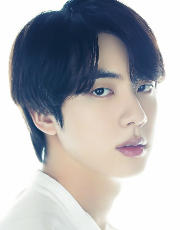 방탄소년단 진, 솔로이스트로서의 빛남..빌보드 아티스트 100