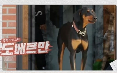 강형욱, 파양된 도베르만 거둔 가족에…"만나고 싶지 않은 이웃" ('개훌륭')