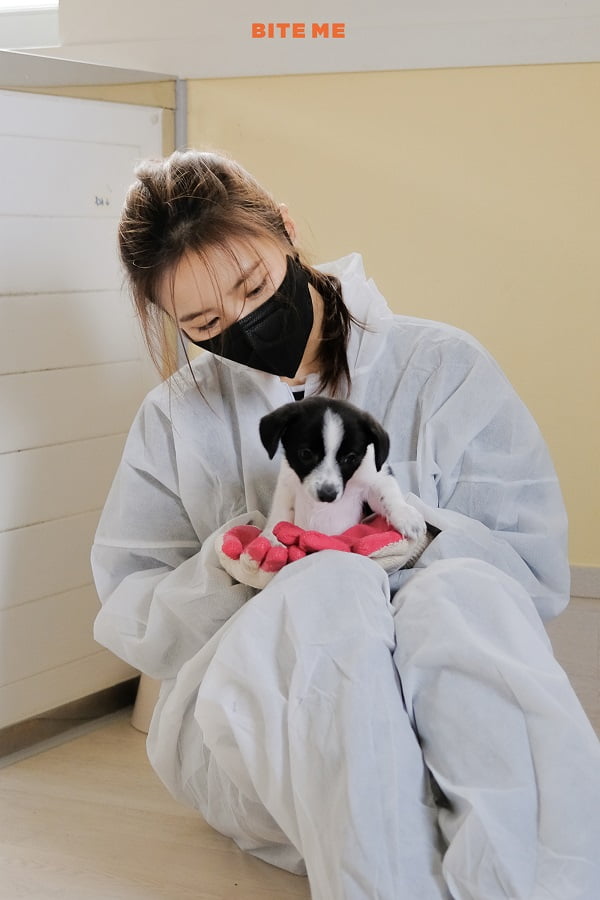 신세경 바잇미와 손잡고 유기 동물 위한 봉사활동