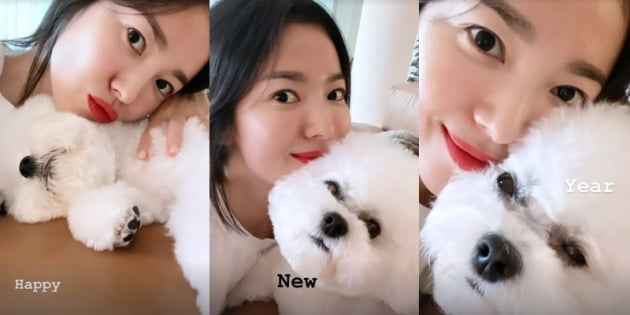 송혜교 / 사진 = 송혜교 인스타그램