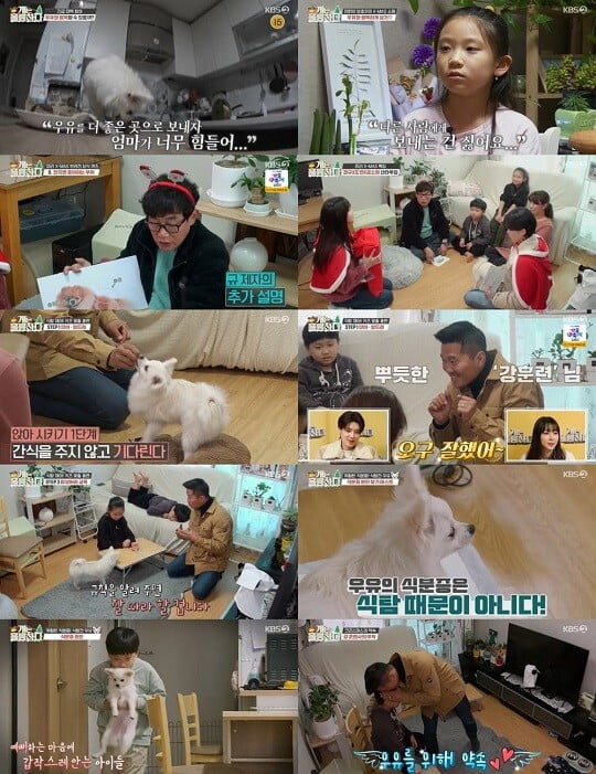 '개는 훌륭하다' (사진=방송 화면 캡처)