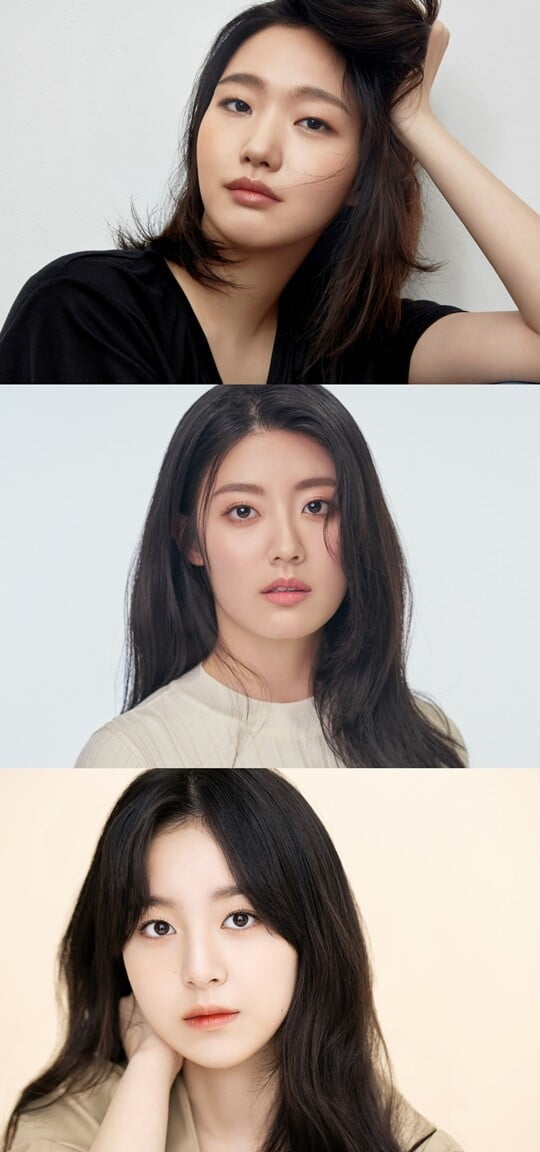 (사진=BH엔터테인먼트, 매니지먼트 숲)