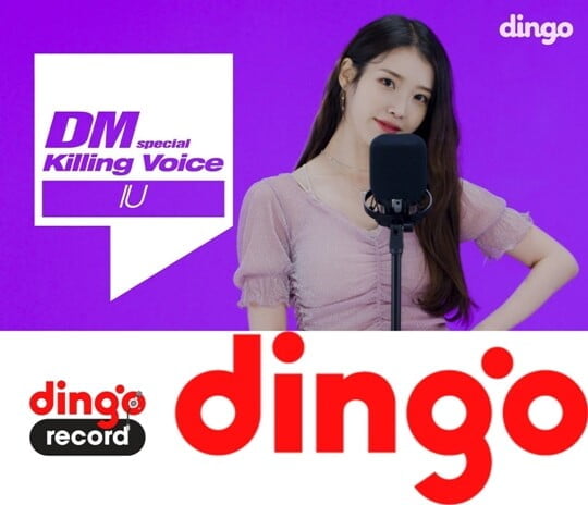 (사진=딩고)