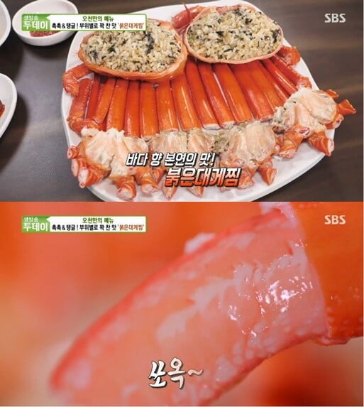 '생방송 투데이'(사진=방송 화면 캡처)