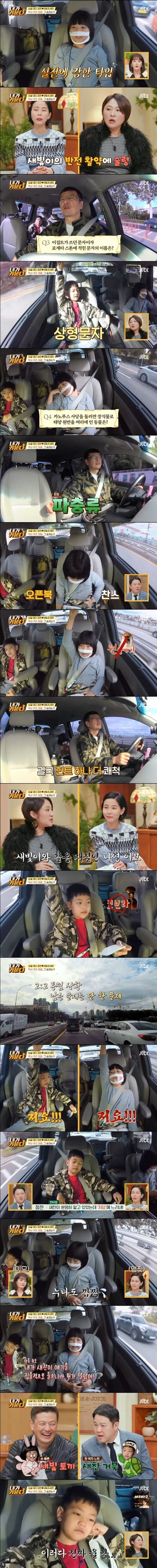 '내가 키운다'(사진=방송 화면 캡처)