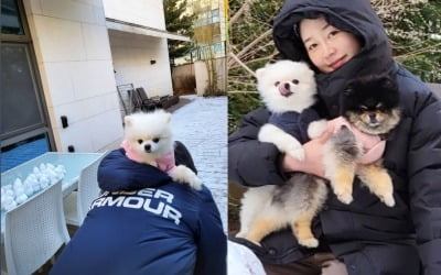 '안성현♥' 성유리, 예비맘 되니 아기자기해진 취향…스노우볼메이커로 눈장난 [TEN★]