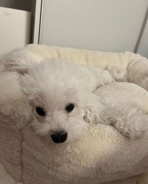 사진=전종서 인스타그램