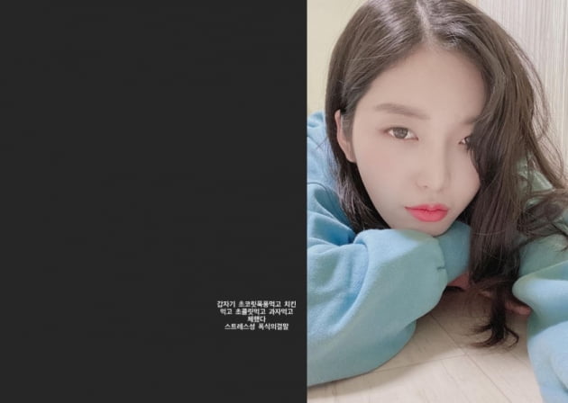 찬미 인스타그램